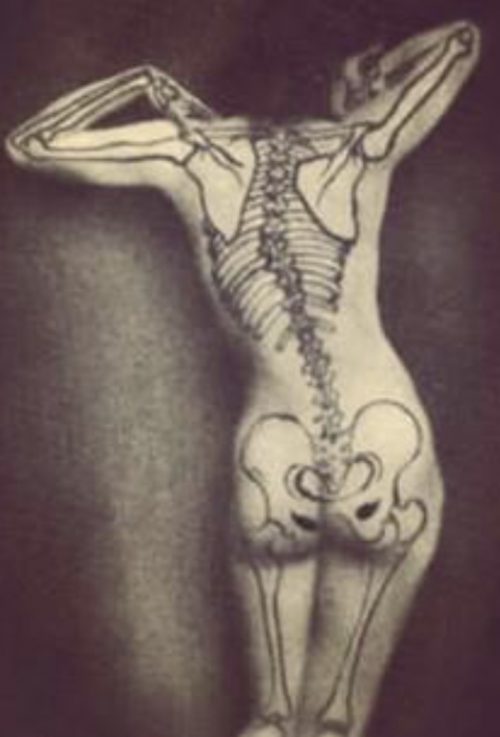 Our bones thrive on impact & well-organised motion – don’t deprive them of it!